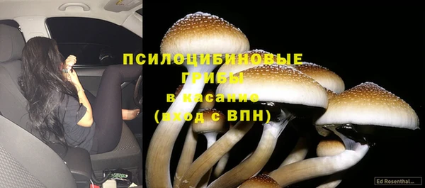 марки lsd Алексин