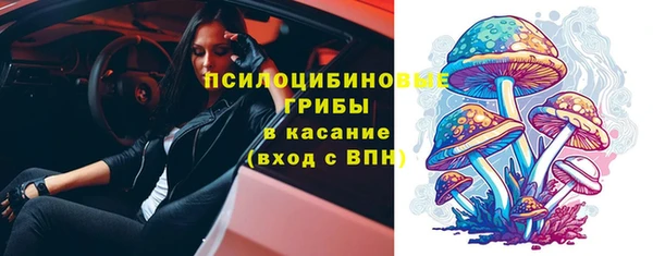 гидропоника Аркадак