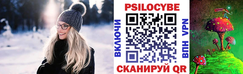 где найти   блэк спрут зеркало  Псилоцибиновые грибы Psilocybe  Артёмовский 